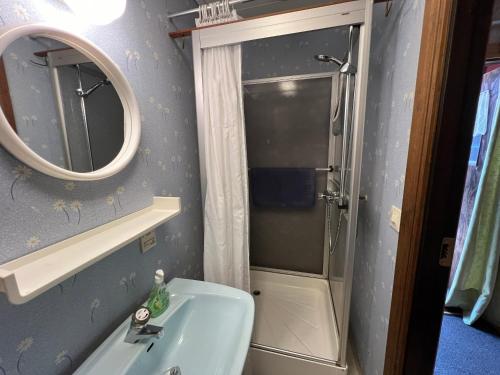 un bagno con doccia, lavandino e specchio di Trollhus a Kättilstorp