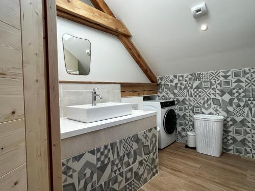 une salle de bain avec un lavabo et une machine à laver dans l'établissement L'Augustine - Le Cuchet, à Saint Avre la Chambre
