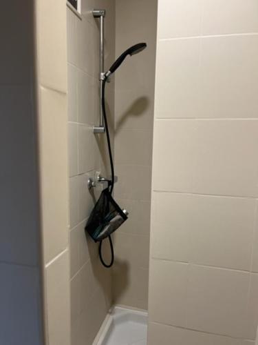 a shower with a shower head in a bathroom at Chambre d'hôte chez Hélène in Kaysersberg