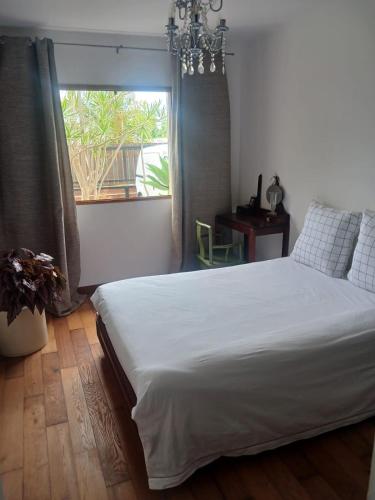 a bedroom with a white bed and a window at Les Fougères in Les Avirons