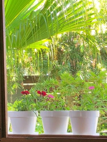 Zahrada ubytování Les Fougères