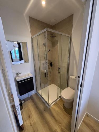 Maison de standing au centre de Reims 7 chambres avec 7 salles de bain, sauna, cour privée