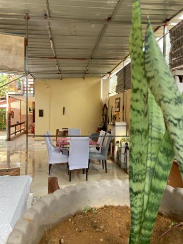 Pati o zona exterior de Mandinga Guest house