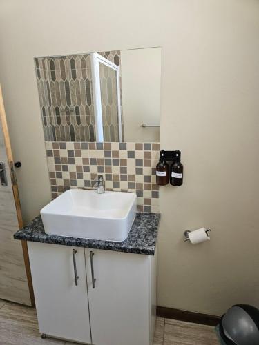 een badkamer met een witte wastafel en een spiegel bij Lovely Beauty Rest in Gqeberha