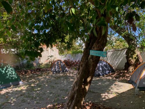 Een tuin van FLOR DE ARUANDA - Hostel e Acampamento