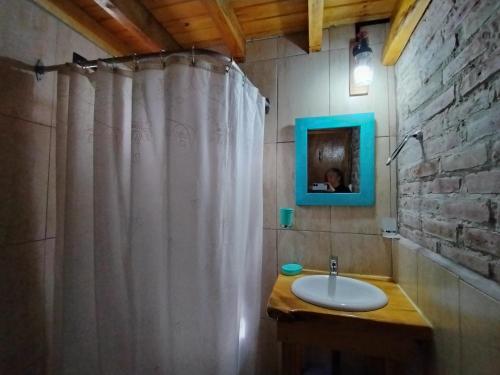 une salle de bain avec un lavabo et un rideau de douche dans l'établissement El Estribo, à Lago Puelo
