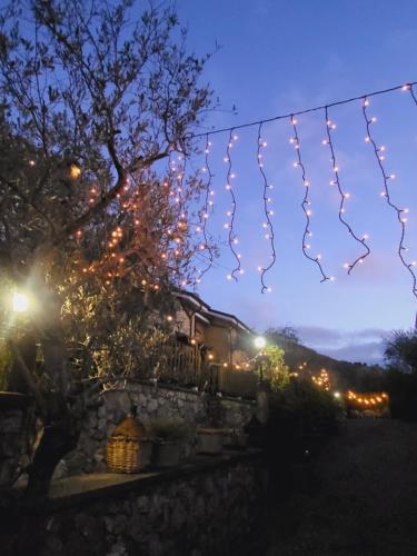 Cảnh núi rừng hoặc tầm nhìn ra núi từ nhà khách