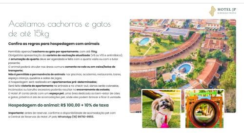 a flyer for an amusement park with a dog on a slide at Hotel JP Ribeirão Preto Resort & Convenções by Nacional Inn in Ribeirão Preto