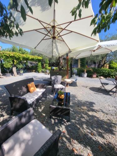 Cảnh núi rừng hoặc tầm nhìn ra núi từ nhà khách