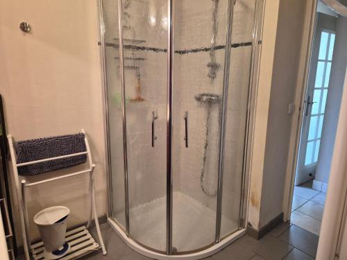 een douche met een glazen deur in een badkamer bij BRUYERE D'ANDAINE in Bagnoles de l'Orne