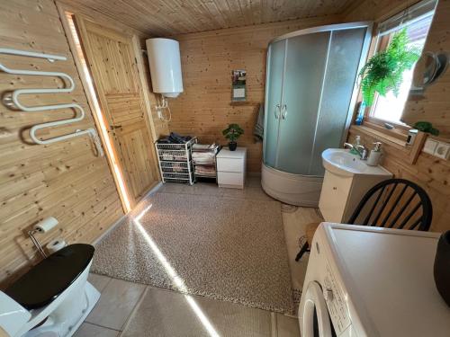 ein kleines Badezimmer mit Toilette und Waschbecken in der Unterkunft Cozy Mountain Cabin in Senja in Senja