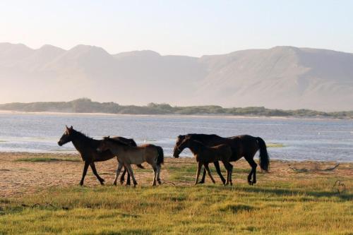 Gallery image of Het Regthuys Meerenbosch in Lake Marina