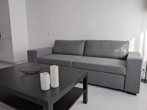 Le Landel - Appartement 3 Pièces entièrement rénové, climatisé avec parking
