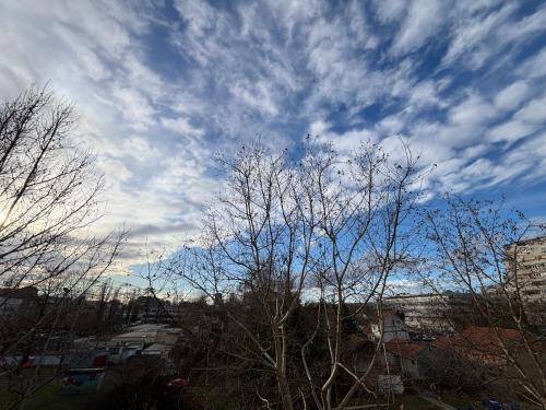 Apartman Kruge7