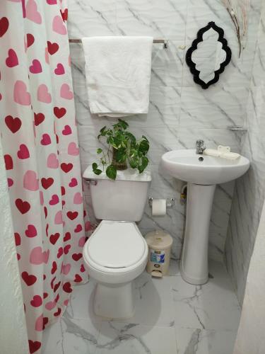 a bathroom with a toilet and a sink at Hotel El Almendro in Pedernales