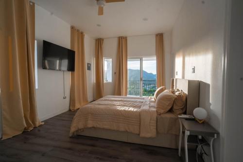 een slaapkamer met een bed, een tv en een raam bij Luxury Apt with Amazing Views in Saint Johnʼs