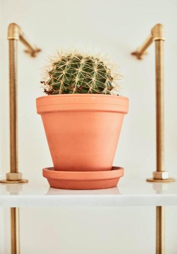 a plant in a pot on a shelf at Max Brown Hotel Midtown, part of Sircle Collection in Düsseldorf
