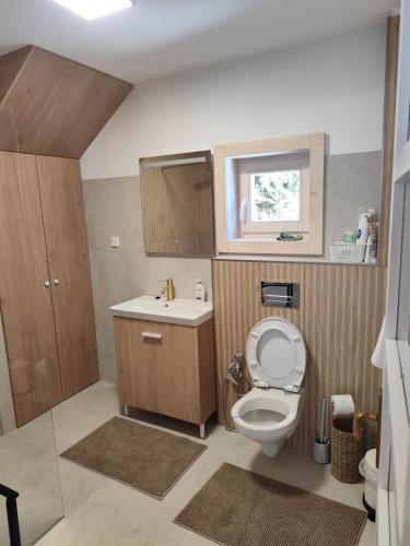 a small bathroom with a toilet and a sink at Cabana Katica 3 Vendégház in Joseni