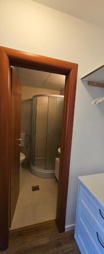 een badkamer met douche en toilet via een deur bij Anikaapartmani, Brzeće in Brzeće