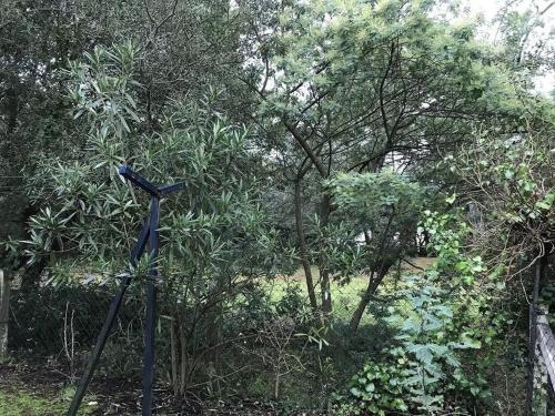 Billede fra billedgalleriet på Maison de vacances à 300m de la plage i La Celle-sous-Gouzon