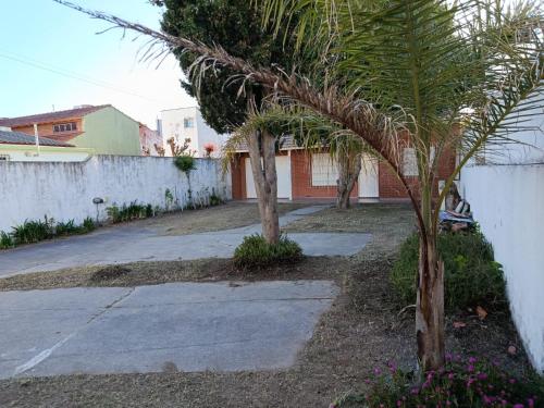 een palmboom in een tuin naast een oprit bij Arevalo Mar de Ajo in Mar de Ajó
