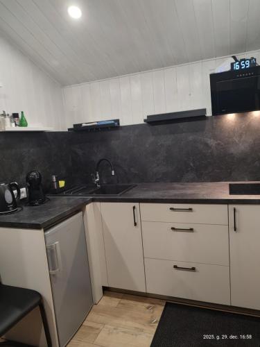 een keuken met een spoelbak en een aanrechtblad bij Gästehaus "Säntis" in Carnikava