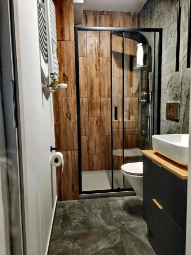 a bathroom with a shower and a toilet and a sink at APARTAMENTY & DOMKI Chełmsko Śląskie in Chełmsko Śląskie