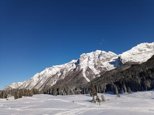 Naturlandskabet i nærheden af lejligheden