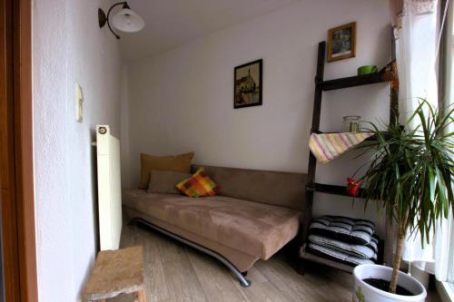 ein Wohnzimmer mit einer Couch und einer Pflanze in der Unterkunft Altstadtzauber Amberg in Amberg