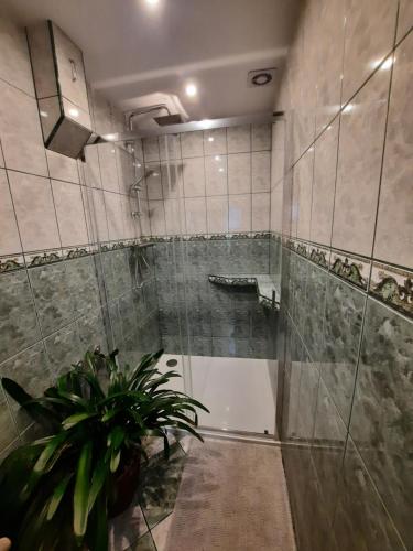 Een badkamer bij Gościna U kowala