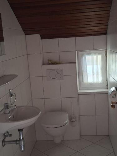 a bathroom with a sink and a toilet and a window at Berghaus Edelstein in Bodenmais in Bodenmais