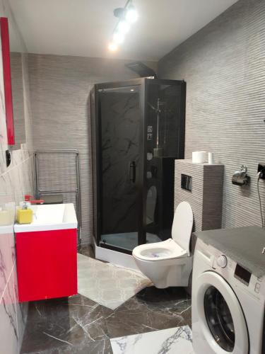 een badkamer met een toilet, een douche en een wasmachine bij Pokoje wynajem Macierzysz in Mory