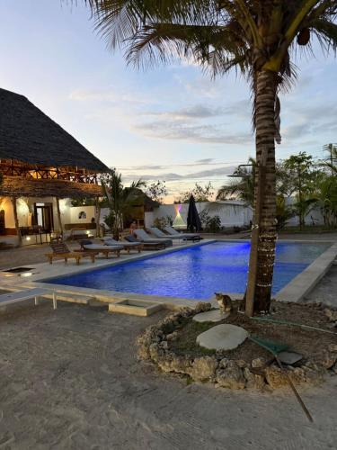 Hồ bơi trong/gần Cholobandas