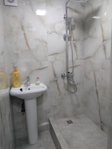 een badkamer met een wastafel en een douche bij Cozy Home in Balaovit