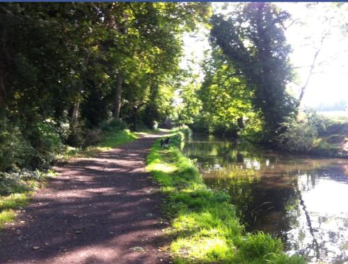 Phong cảnh thiên nhiên gần căn hộ