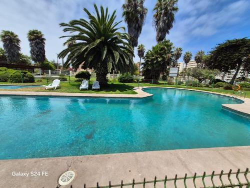 een zwembad in een resort met palmbomen bij Hotel Palmas de La Serena in La Serena