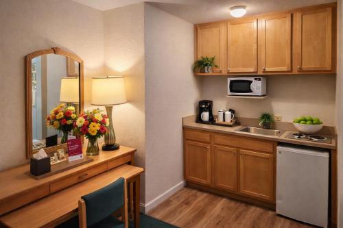 a kitchen with a sink and a counter with a microwave at Queens Lodge Motel in West Palm Beach