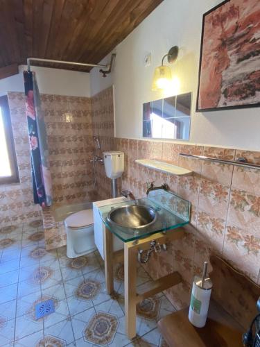 een badkamer met een wastafel en een toilet bij Landhaus Weitblick in Paldau