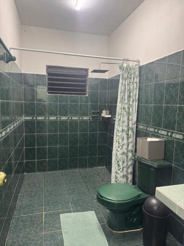 a bathroom with a green toilet and a shower at Casa X-lapac in Valladolid