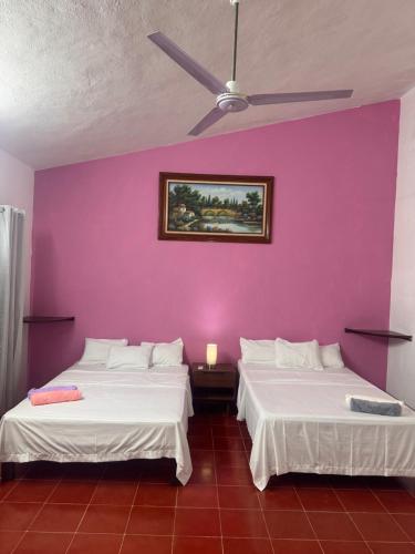 two beds in a room with a purple wall at Casa X-lapac in Valladolid