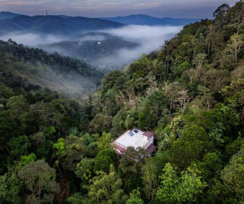 widok z lotu ptaka na dom w środku lasu w obiekcie Spring and Valley View w mieście Thekkady