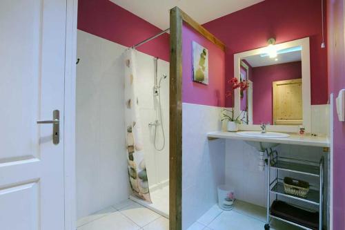 a bathroom with a sink and a shower at Cecile in Montgaillard