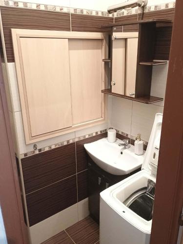 a small bathroom with a sink and a white sink at Centrum Czeski Cieszyn Český Těšín in Karviná