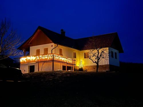 a house lit up at night with christmas lights at Iža na brejgi in Moravske-Toplice