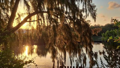 Billede fra billedgalleriet på Studio du barachois à Roches-Noires i Roches Noires
