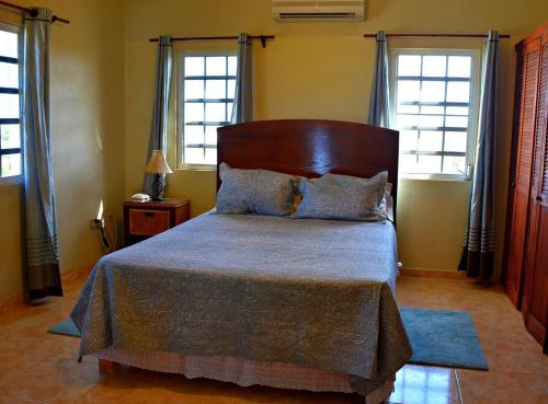 a bedroom with a large bed and two windows at J's Place in East End Village
