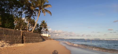 una spiaggia sabbiosa con palme e l'oceano di Ceylon Sungarden a Habaraduwa Central