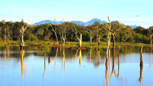 Naturlandskabet i nærheden af hotellet