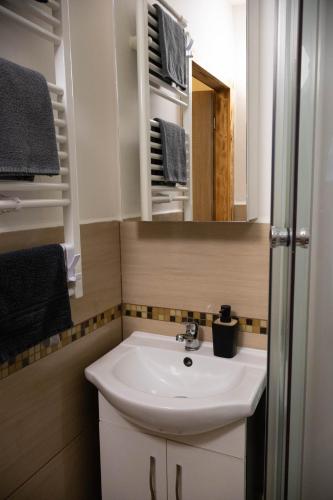 a bathroom with a white sink and a mirror at Apartmány Kunčice in Staré Město