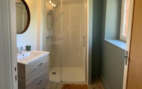 een badkamer met een douche en een wastafel bij Chez denise in Paulinet